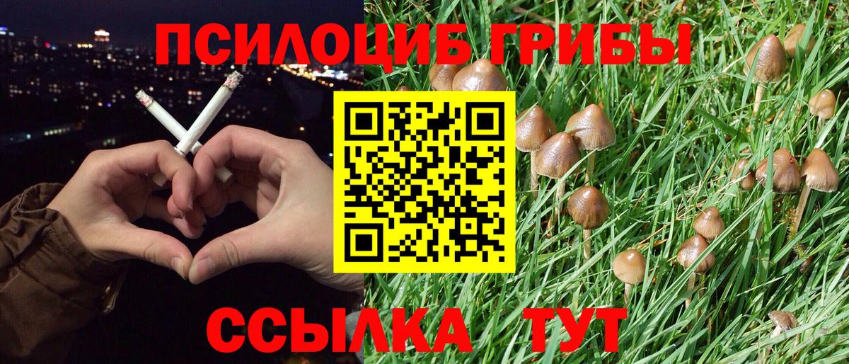 где продают   Вход с VPN  Кинель  Галлюциногенные грибы MAGIC MUSHROOMS 